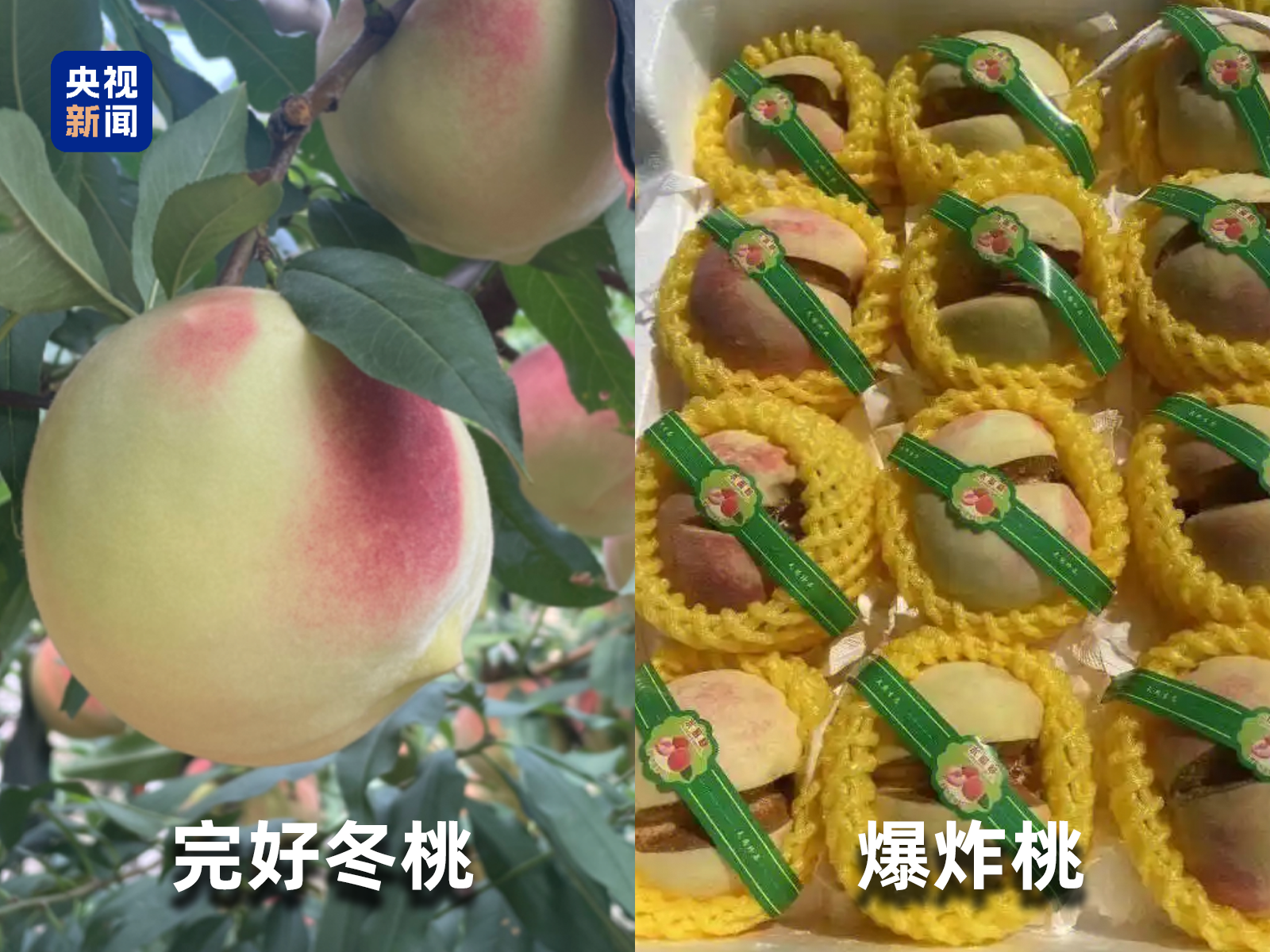 彩神vll官网起底“生果圈套”！这些“智商税”生果要晓得→(图2)