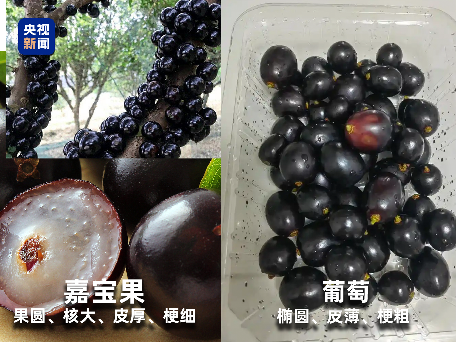 彩神vll官网起底“生果圈套”！这些“智商税”生果要晓得→(图6)