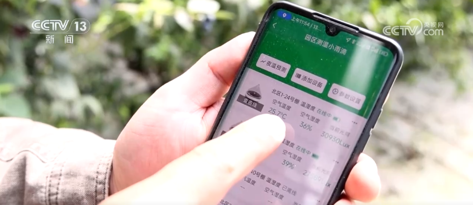 彩神welcome官网生果刺客→亲民爆款 科技为苍生“果盘子”注入“鲜”力气(图7)