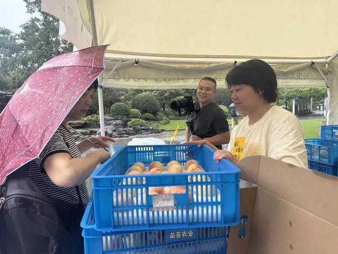 彩神Vll直销更实惠！上海10座公园贩卖新颖当地优良生果24小时内从枝头到餐桌(图1)