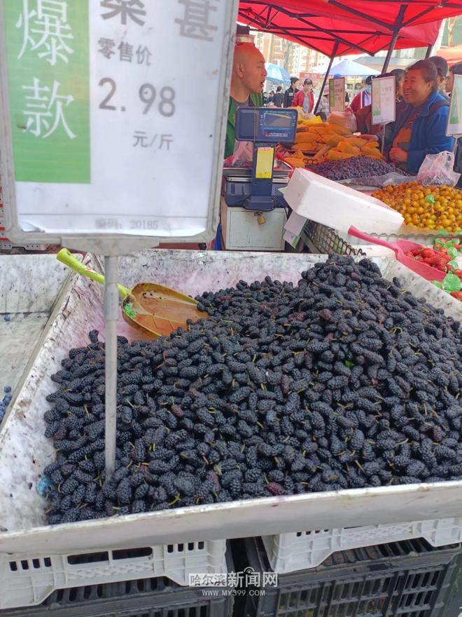 彩神vll购彩大厅市场访问：哈市桑葚价钱跌破3元斤｜真实的“桑葚自在”来了(图4)