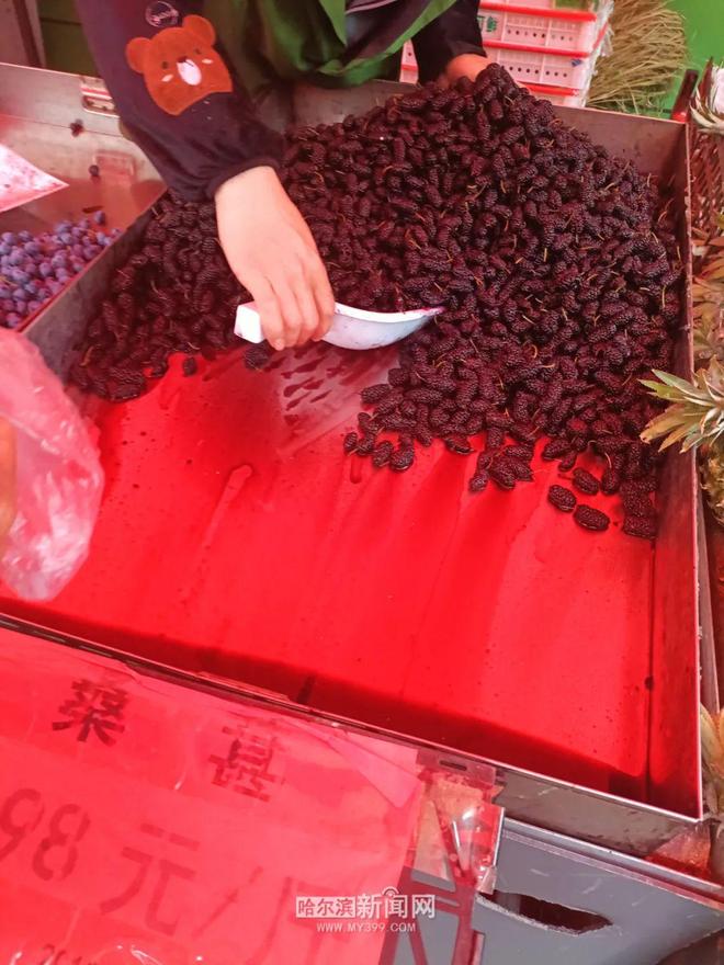 彩神vll购彩大厅市场访问：哈市桑葚价钱跌破3元斤｜真实的“桑葚自在”来了(图2)
